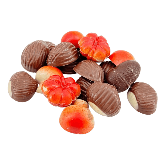 Herfstvruchten in chocolade