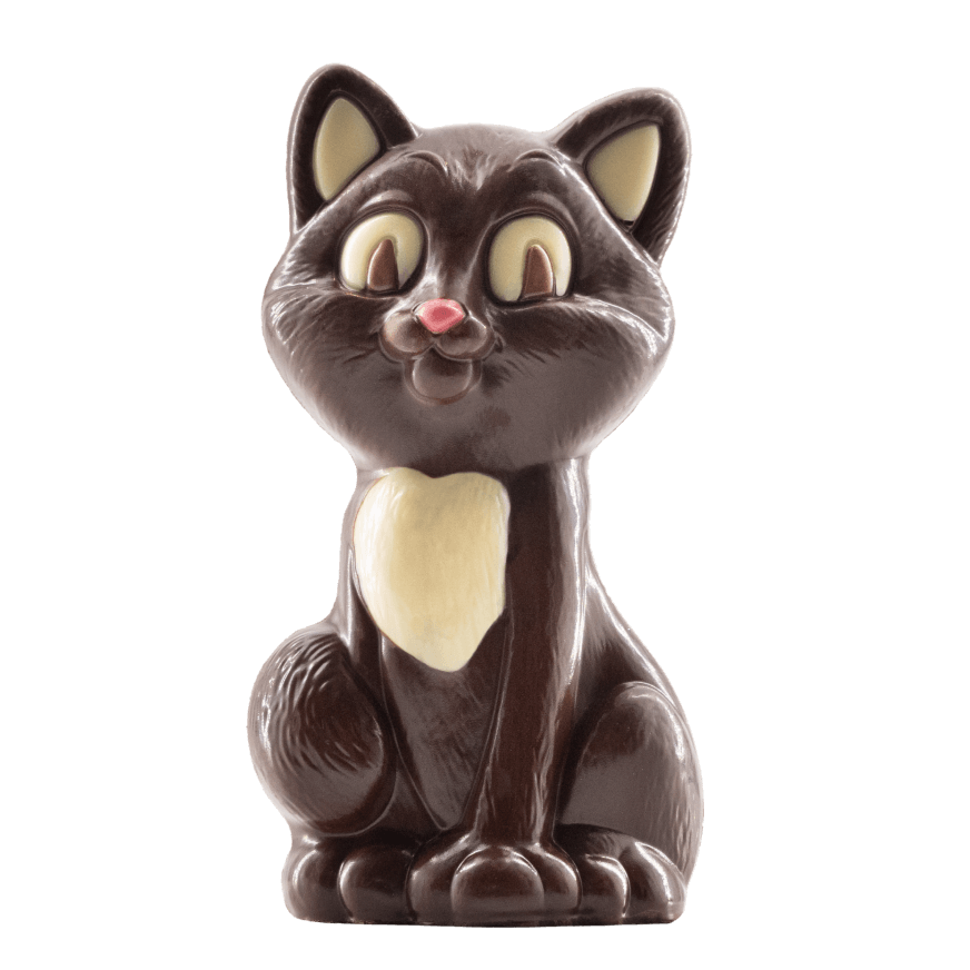 Kat (pure chocolade) 100 Grs