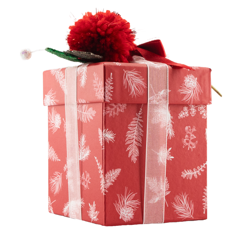 Kerst rode doos 12 pralines 180 Grs