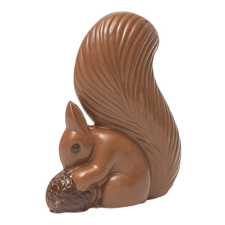 Melkchocolade eekhoorn 100g
