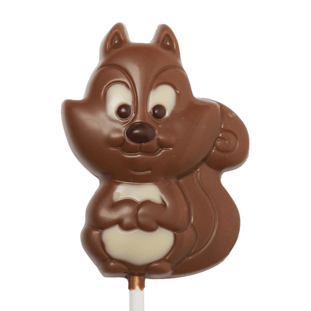 Melkchocolade eekhoorn lolly 20g
