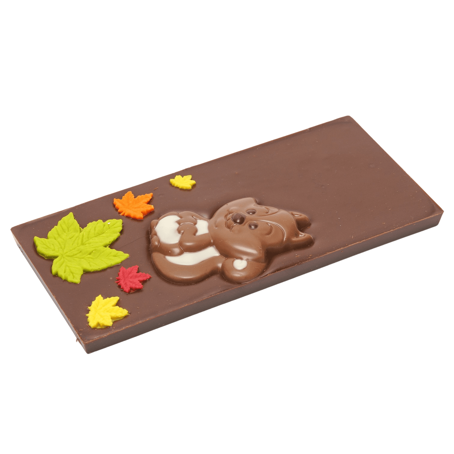 Eekhoornreep in pure chocolade 125g