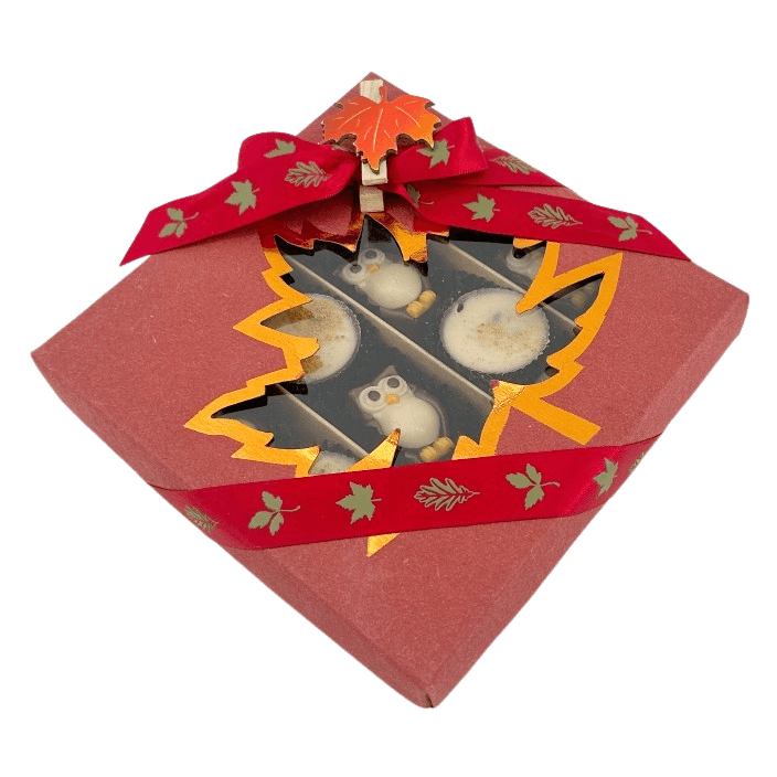 Mix van herfstpralines in een rode geschenkdoos