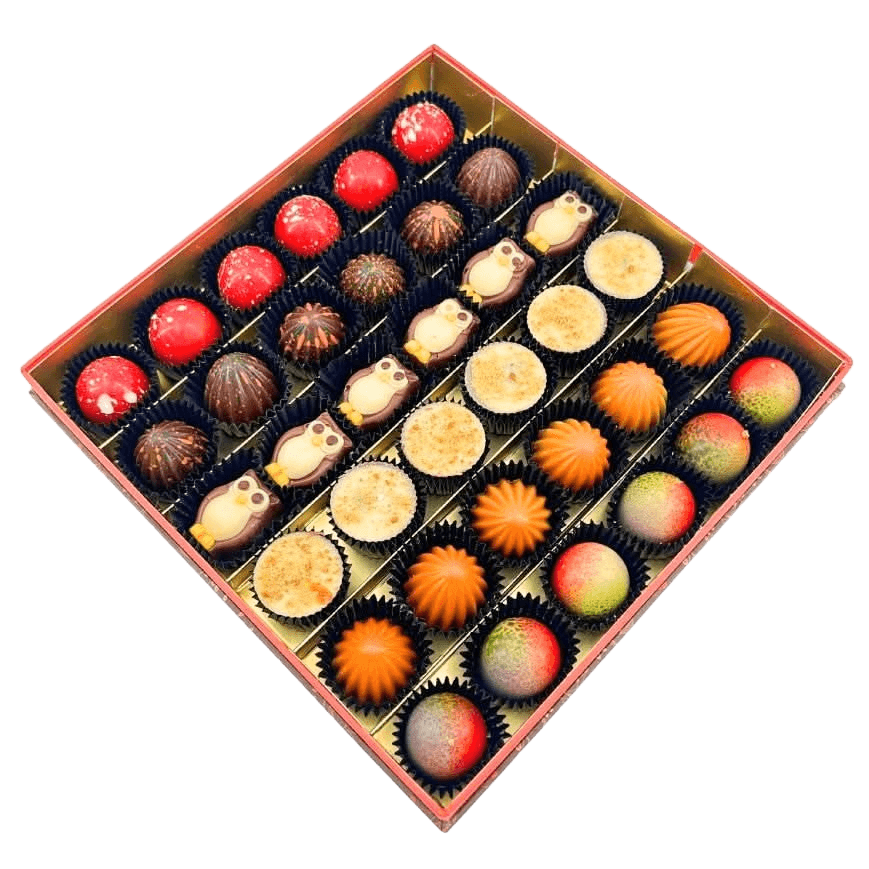 Herfstfluisterpralines 540g