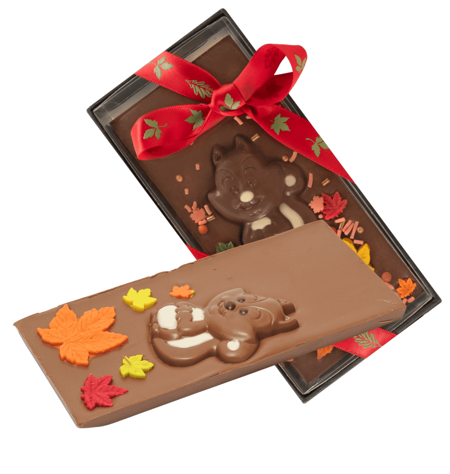 Melkchocoladereep eekhoorn 125g